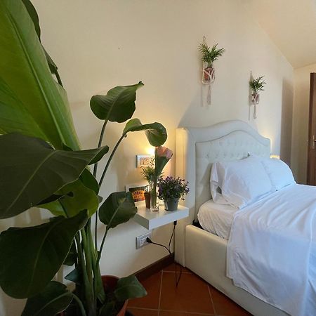 Montecchi House Daire Verona Dış mekan fotoğraf