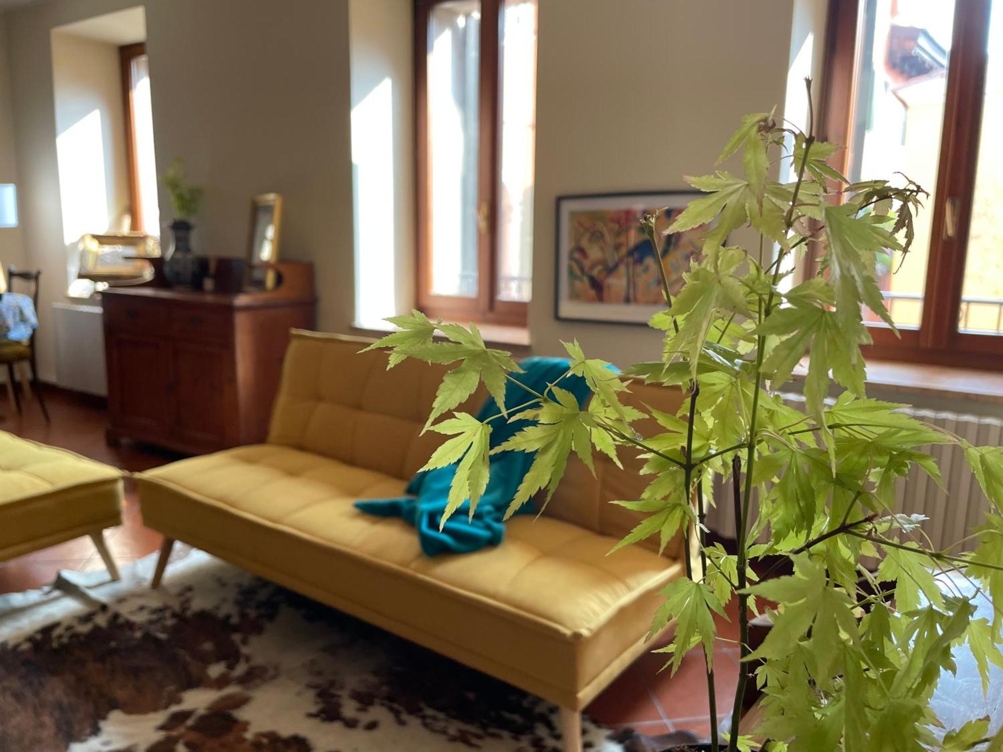 Montecchi House Daire Verona Dış mekan fotoğraf